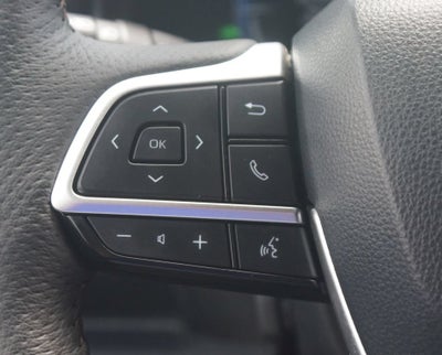 2025 Toyota Sienna Platinum