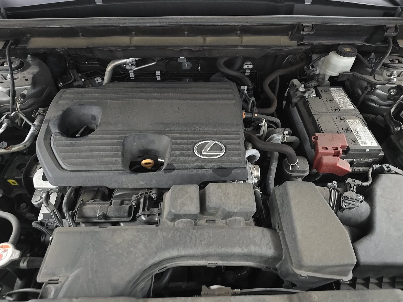 2023 Lexus NX NX 250