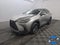 2023 Lexus NX NX 250