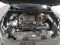 2024 Toyota RAV4 Hybrid Woodland