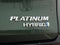 2021 Toyota Sienna Platinum