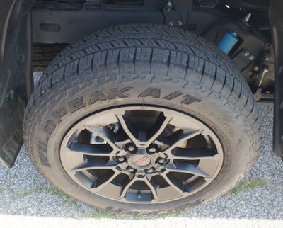 2025 Toyota Tundra 4WD 1794 Edition