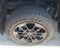 2025 Toyota Tundra 4WD 1794 Edition