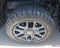 2023 Toyota Tundra 4WD Platinum