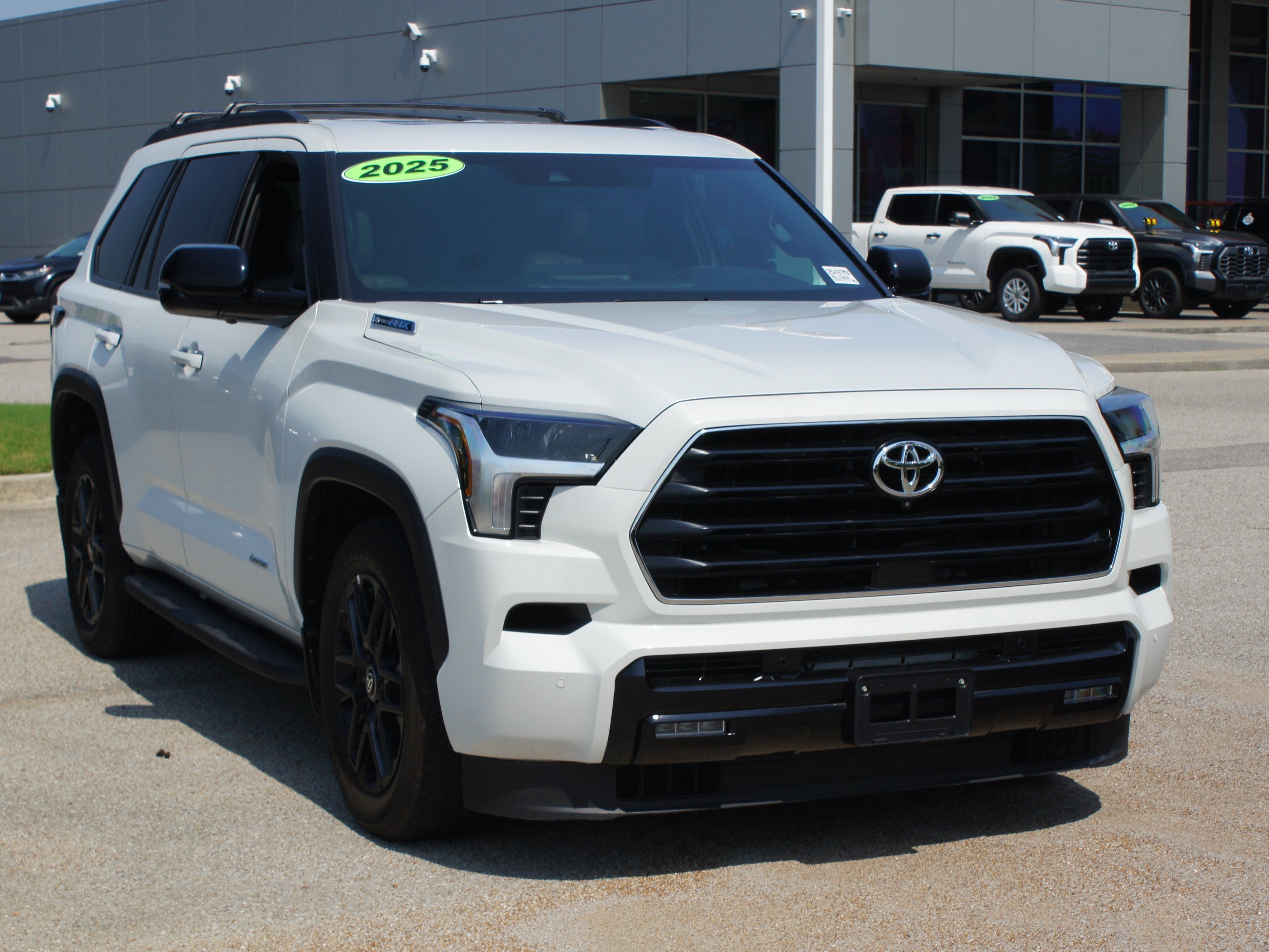 2025 Toyota Sequoia Limited