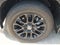2025 Toyota Sequoia Limited