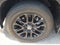 2025 Toyota Sequoia Limited