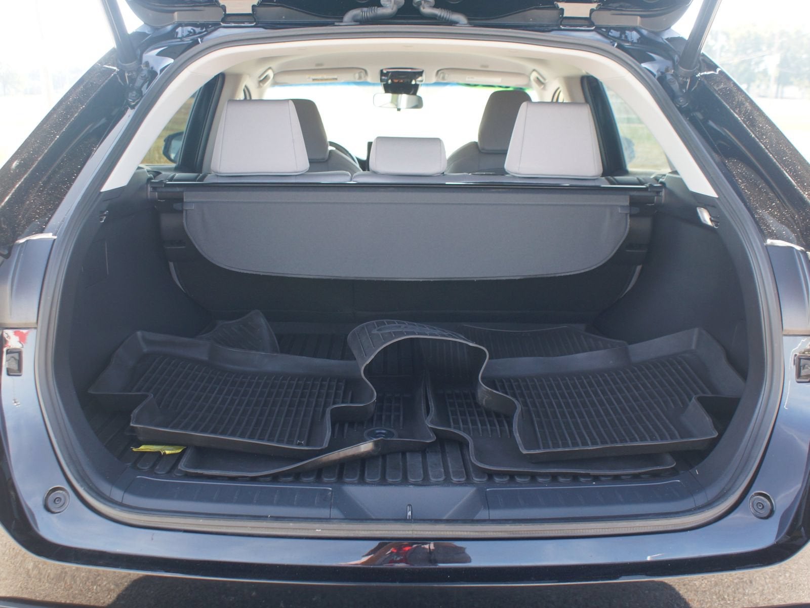 2023 Toyota Venza LE