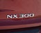 2021 Lexus NX NX 300