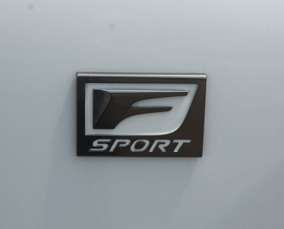 2020 Lexus NX NX 300 F SPORT