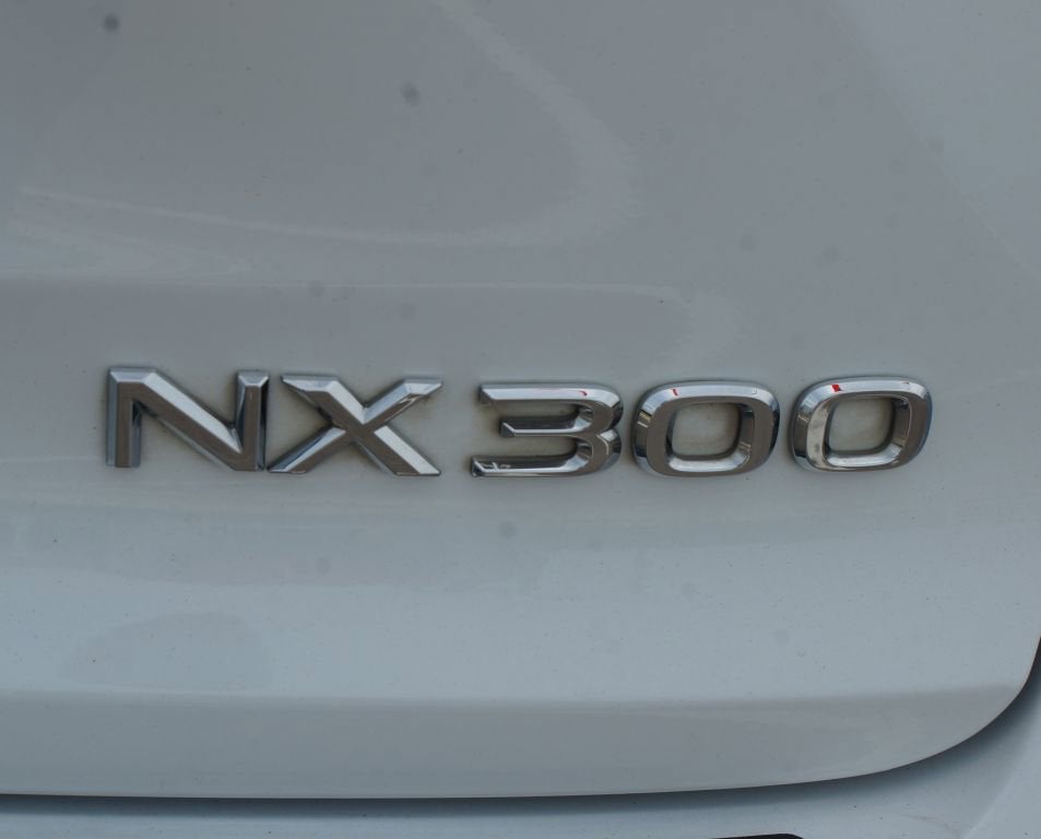 2020 Lexus NX NX 300 F SPORT