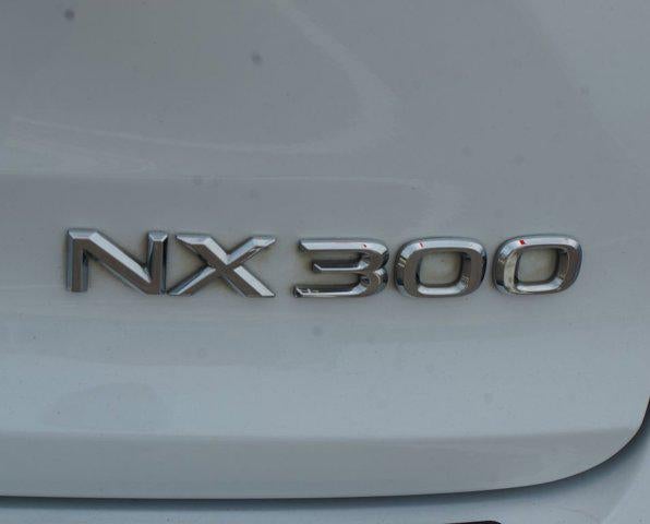 2020 Lexus NX NX 300 F SPORT